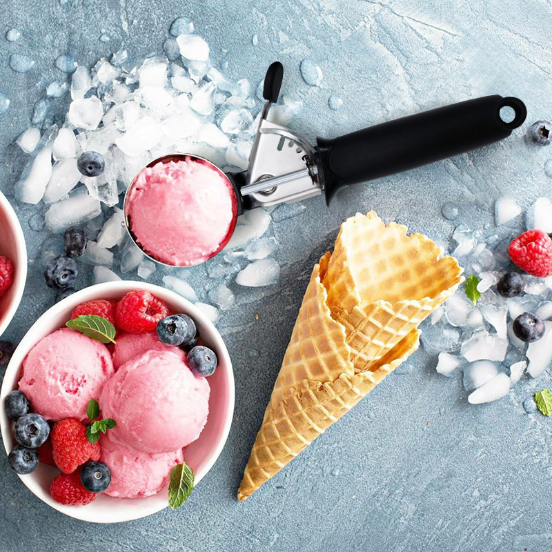 Roestvrijstalen ijsschep Multi - Kitchen Gadgets Needed recensie en prijs