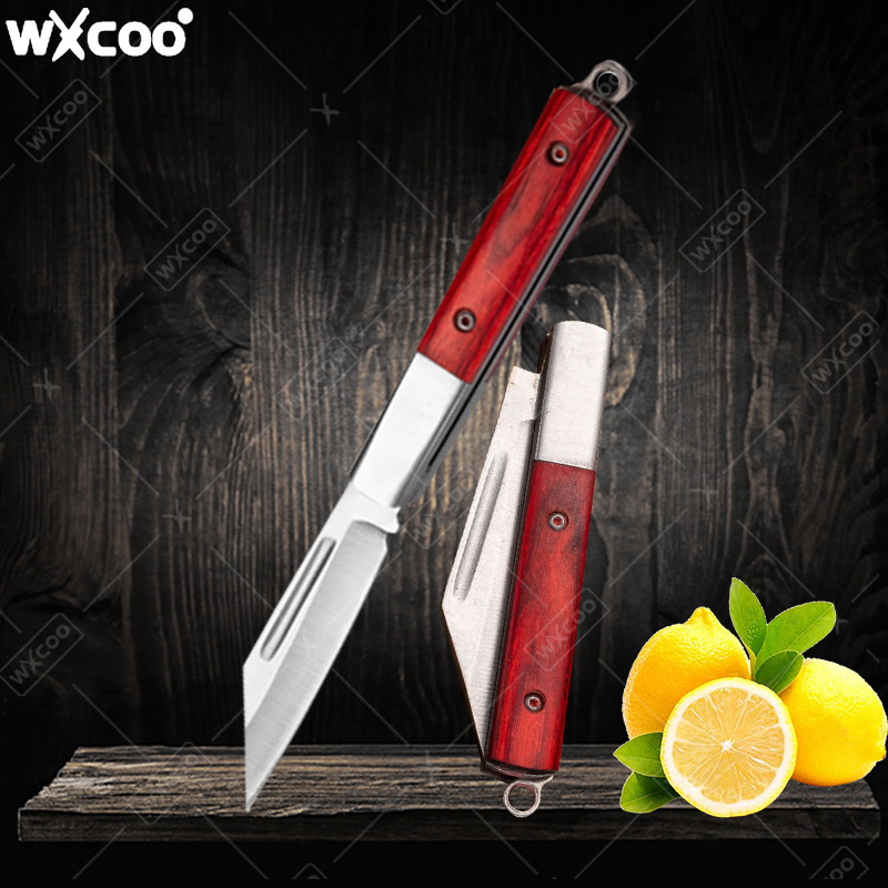 Roestvrijstalen zakmes Palissa - Kitchen Gadgets That Make Life Easier recensie en prijs