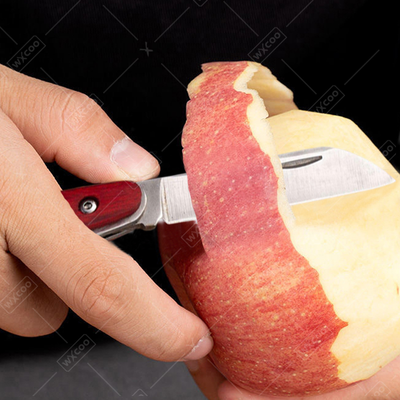 Roestvrijstalen zakmes Palissa - Kitchen Gadgets That Make Life Easier recensie en prijs
