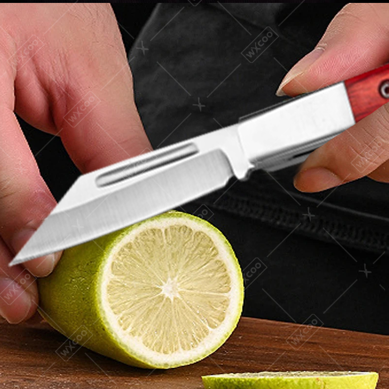 Roestvrijstalen zakmes Palissa - Kitchen Gadgets That Make Life Easier recensie en prijs